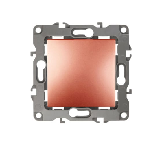 Изображение товара Выключатель ЭРА 12100114 10АХ250В, IP20, без монтажных лапок, медь Б0019274