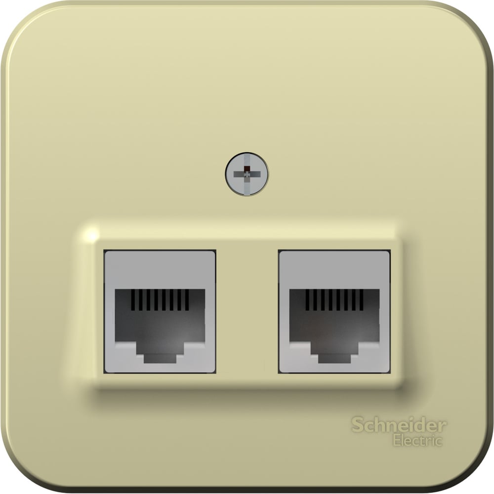 Изображение товара Компьютерная розетка RJ45 Cat.5E Blanca Systeme Electric 2 гнезда накладная