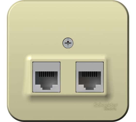 Изображение товара Компьютерная розетка Systeme Electric 2-м ОП Blanca RJ45 кат.5E с изолир. пластиной беж. SE BLNIA045457