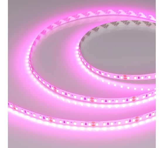 Изображение товара Светодиодная лента Arlight RT-A120-8mm, 24V, Magenta 5м 043381