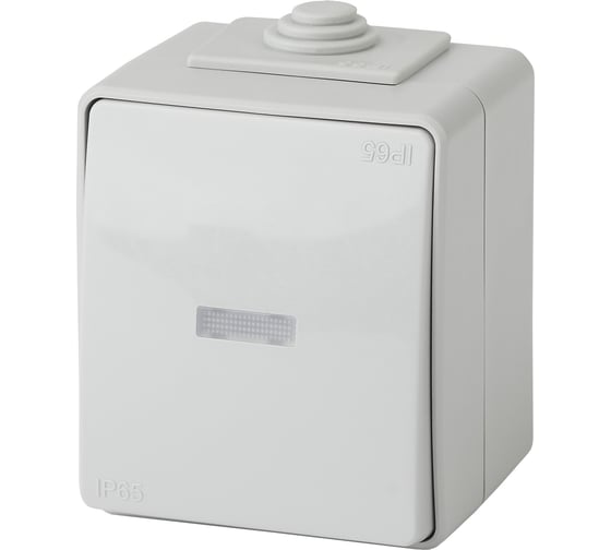 Изображение товара Переключатель ЭРА 11161003 с подсветкой IP65, 10АХ250В, ОУ, Экспер Б0035981