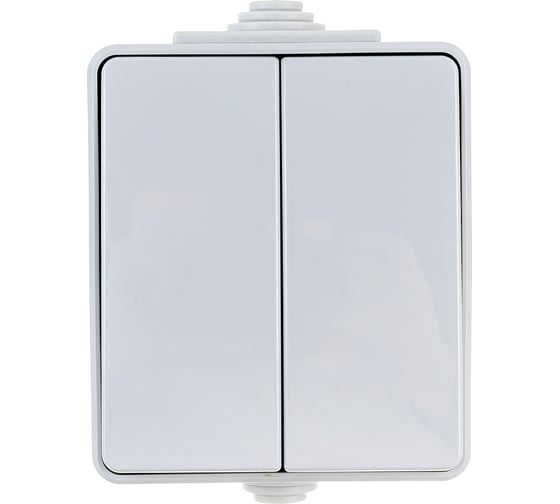 Изображение товара Двойной переключатель ЭРА 11160603 IP65, 10АХ250В, ОУ, Эксперт, серый Б0035979