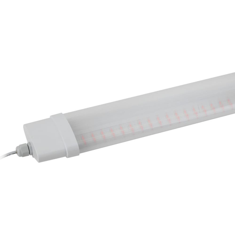 Линейный светильник ЭРА таймер с вилкой и разъемом для фито светильника 150 вт 220 в white uniel ust e32 ul 00006492