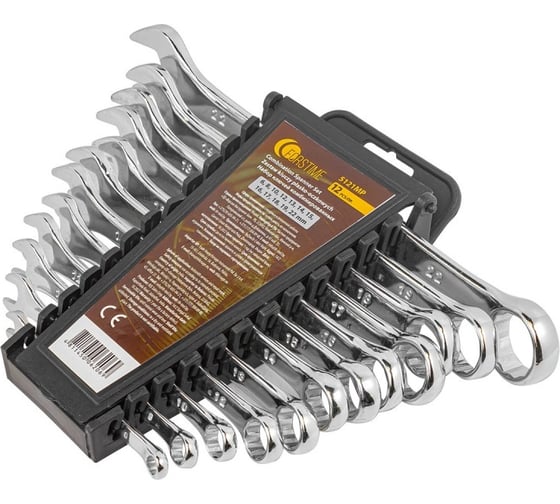 Изображение товара Набор комбинированных ключей FORSTIME 6, 8, 10, 12, 13, 14, 15, 16, 17, 18, 19, 22 мм, 12 предметов FT-5121MP(52495)