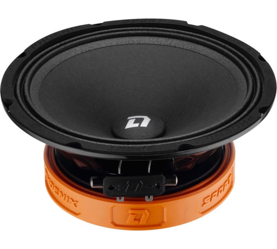 Изображение товара Акустическая система DL AUDIO phoenix sport 200 2016048