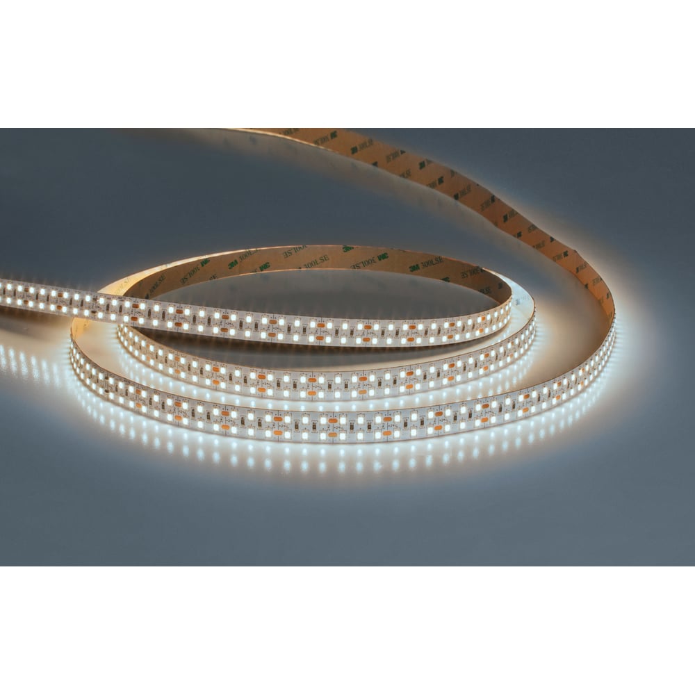 Изображение товара Светодиодная лента ARTE LAMP 24v 19,2w/m 6000K 5м A2424015-03-6K