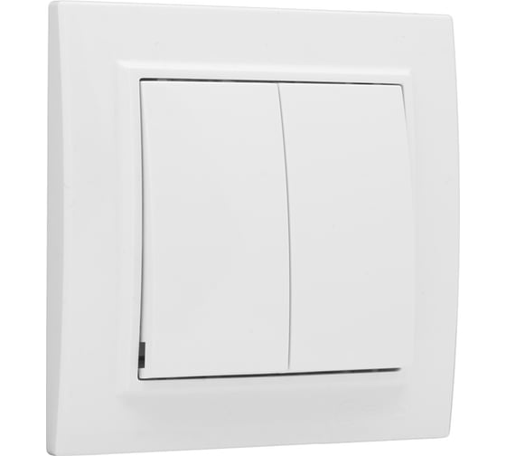 Изображение товара 2-клавишный выключатель EKF Минск СП, 10А, белый Basic ERV10-023-10