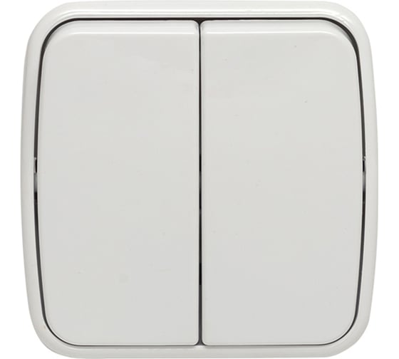 Изображение товара 2-клавишный выключатель EKF Минск ОП 10А белый Basic EGV10-023-10