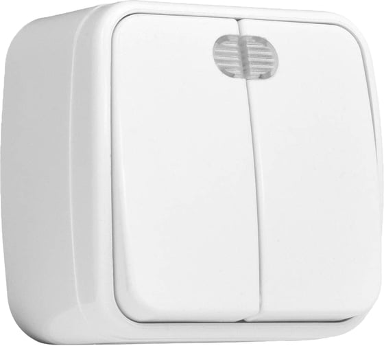 Изображение товара 2-клавишный выключатель с индикатором EKF Минск ОП 10А белый Basic EGV10-123-10