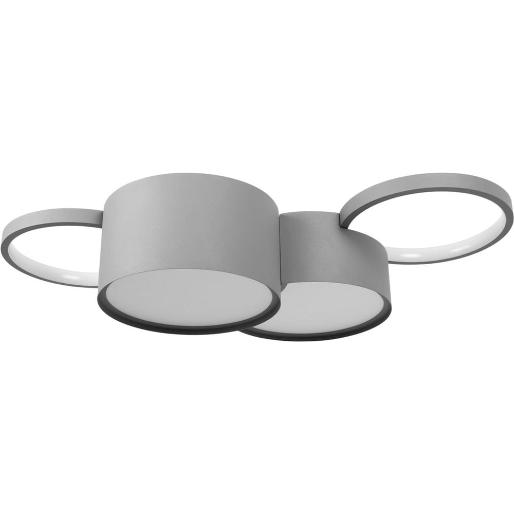 Изображение товара Потолочный светильник LOFT IT Pin 10317/4 Grey с матовыми плафонами