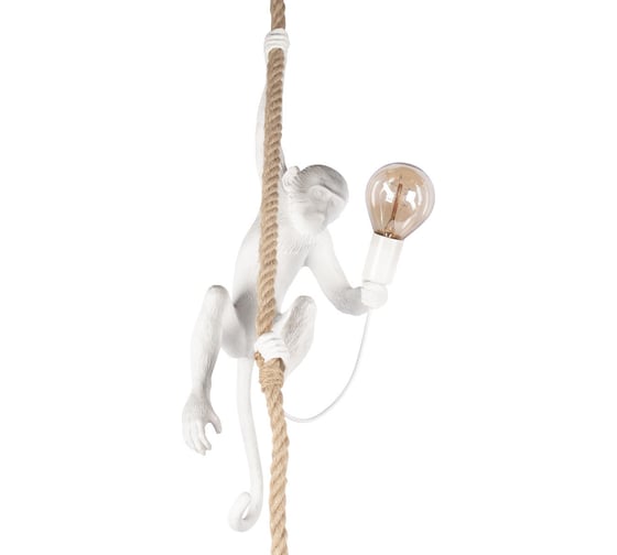 Изображение товара Подвесной светильник LOFT IT Monkey 10314P