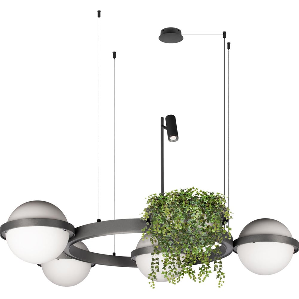 Изображение товара Подвесной светильник LOFT IT Jardin 10121/4 Dark grey