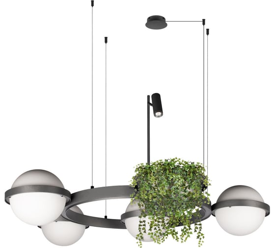 Изображение товара Подвесной светильник LOFT IT Jardin 10121/4 Dark grey