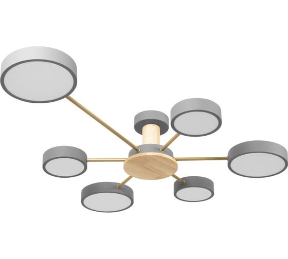 Изображение товара Потолочный светильник LOFT IT Sunrise 10316/6 Grey