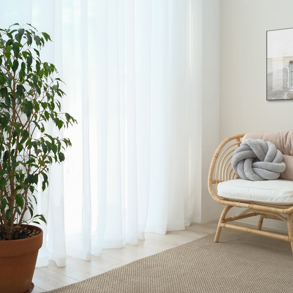 Изображение товара Тюль Этель 135х150 цвет белый, вуаль, 100% полиэстер 4280477