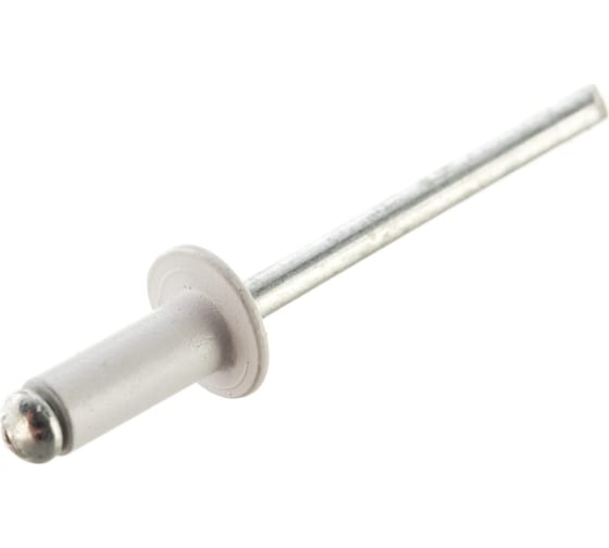 Изображение товара Вытяжная заклепка Доброга 4,8x10 100шт RAL 9003 Белый ТД-00016879