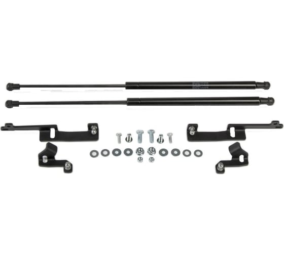 Изображение товара Газовые упоры капота АвтоУпор для Toyota RAV 4 XA30 2005-2010, 2 шт., UTORAV021