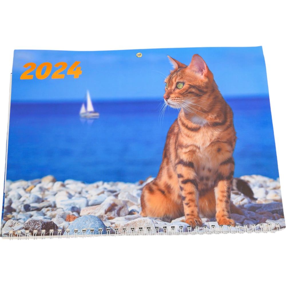 Изображение товара Квартальный настенный календарь ND Play 2024 кот и море яркий дизайн