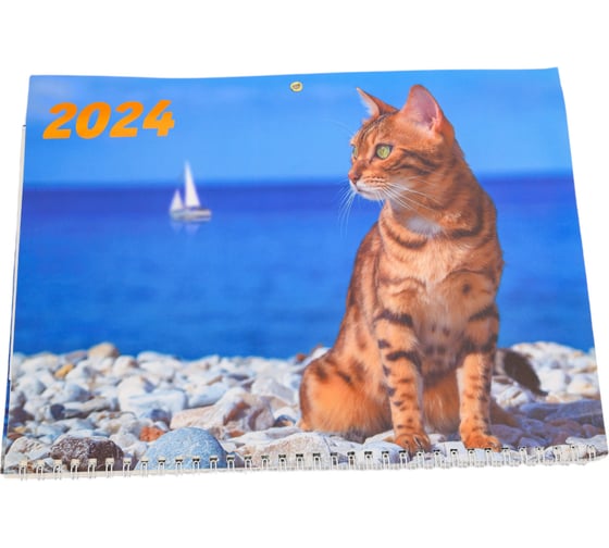 Изображение товара Календарь ND Play квартальный кот и море маркет на 2024 год 308775