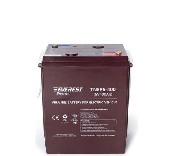 Изображение товара Тяговая аккумуляторная батарея EVEREST TNE 6-400ah Energy P6-400