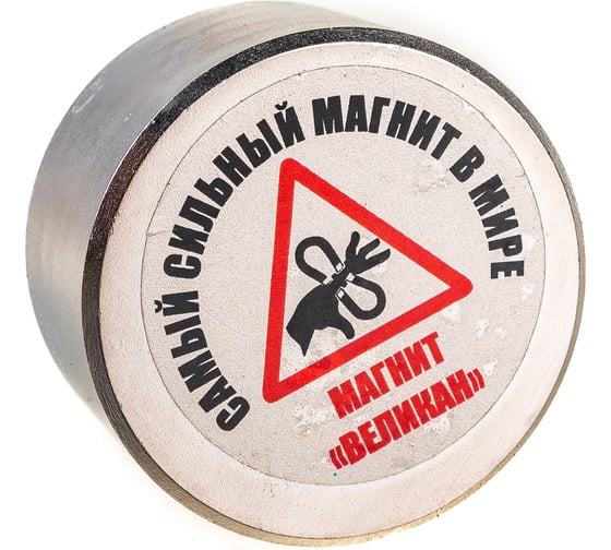 Изображение товара Неодимовый магнит диск 50х30 мм Forceberg Магнит Великан 1212569
