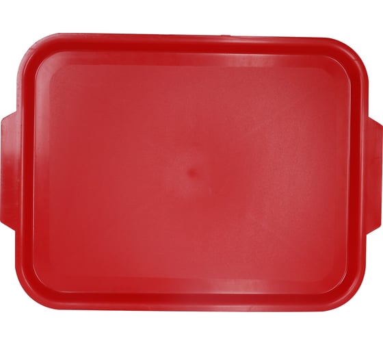 Изображение товара Поднос Литер 490x355 643-LR-ПОД-490х355-24-ПЭ