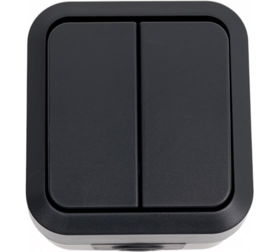 Изображение товара Двухклавишный выключатель IEK Tors 10а ip55 ts105 графит TS-V20-0-10-55-K53