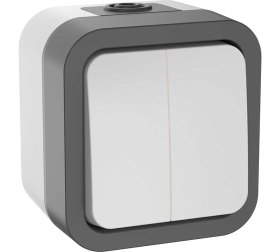 Изображение товара Двухклавишный выключатель IEK Tors 10а ip55 ts205 белый TS-V20-0-10-55-K41