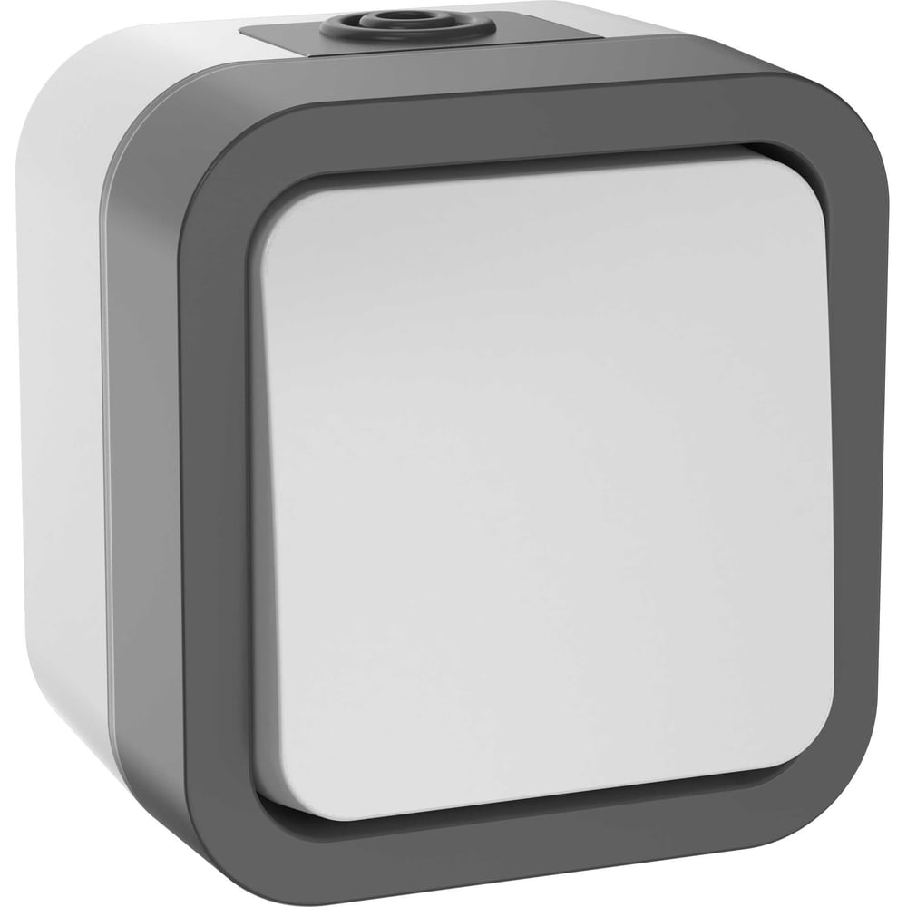 Изображение товара Двухполюсный одноклавишный выключатель IEK Tors 10а IP55 белый