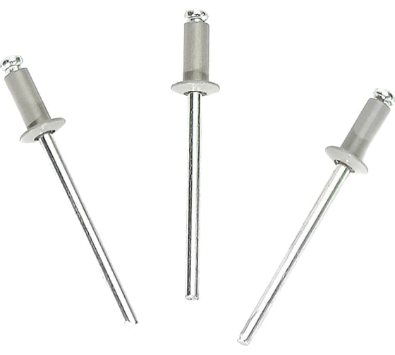 Изображение товара Daxmer Заклёпка вытяжная 3,2х8 алюм/сталь RAL 7004, 1000 шт 00000308345