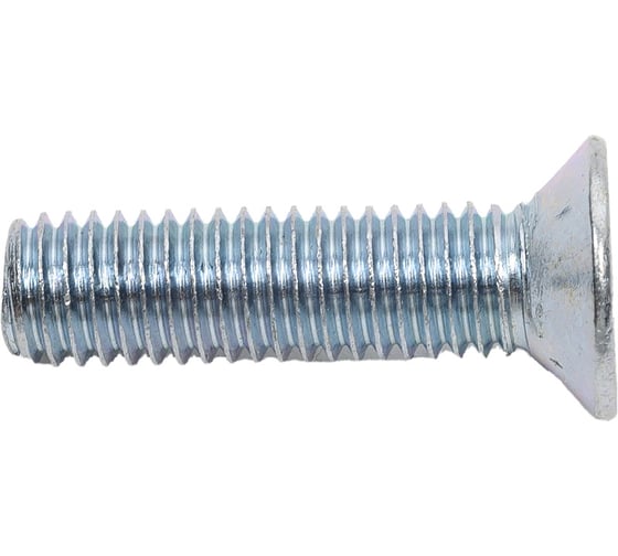 Изображение товара Винт с потайной головкой Доброга М8x30 мм, цинк, DIN 965, 100 шт. ЦБ-00033777