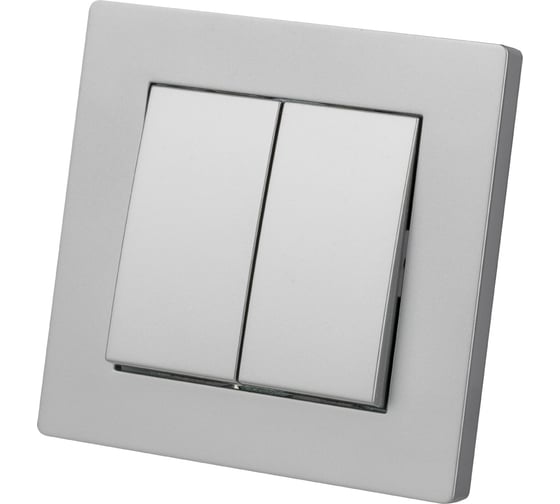 Изображение товара Выключатель 2-х клавишный TDM 10А серебр. металлик "сенеж" SQ1816-0211