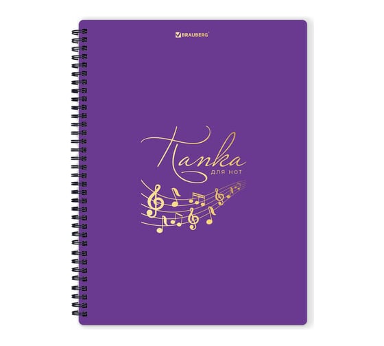 Изображение товара Папка-тетрадь для нот BRAUBERG А4, 20 вкладышей на 40 страниц, на гребне, пластик, фиолетовая 404645
