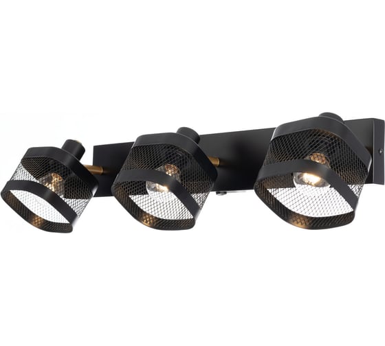 Изображение товара Спот Citilux Хаген с выключателем Чёрный CL531535