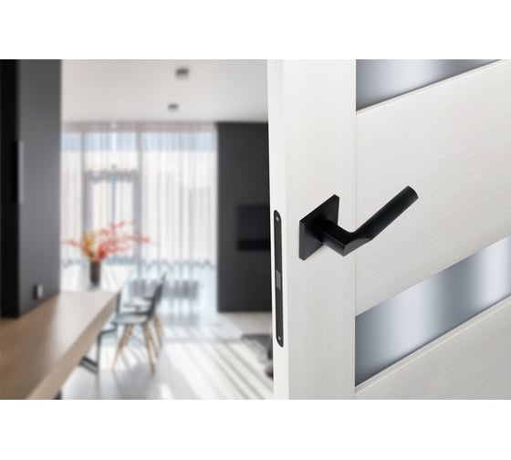 Изображение товара Дверные ручки ADDEN BAU SHELF S-559 BLACK Чёрный 940002023096