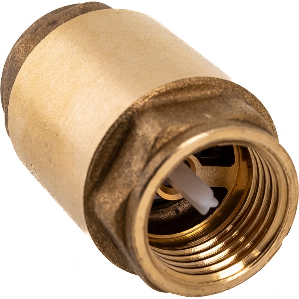 Дисковый обратный клапан Giacomini пластиковый обратный клапан для r285 r285l giacomini