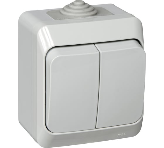 Изображение товара Выключатель Systeme Electric 2-клавишный ОП Этюд 10А IP44 серый SchE BA10-042C