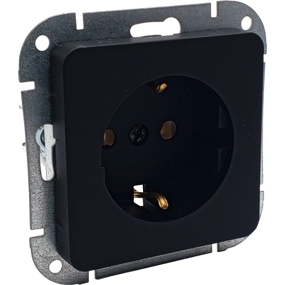 Изображение товара Механизм розетки 1-местный Bylectrica АСТРУМ карбон