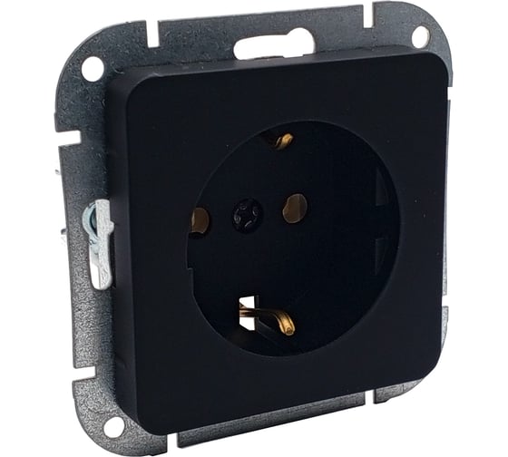Изображение товара Механизм розетки 1-местн. Bylectrica СУ с земл. серия АСТРУМ, карбон РС16-1502 карбон