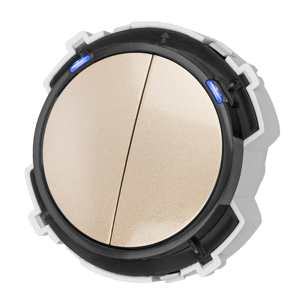 Изображение товара 2-клавишный выключатель TDM ELECTRIC серии Байкал 16А IP20 шампань