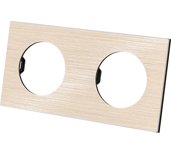 Изображение товара Двойная рамка TDM ELECTRIC шампань, алюминий, шлифованный, "байкал" SQ1819-0561