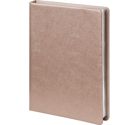 Изображение товара Недатированный ежедневник Attache Selection metal а5, 160 л., пудровый 1784320