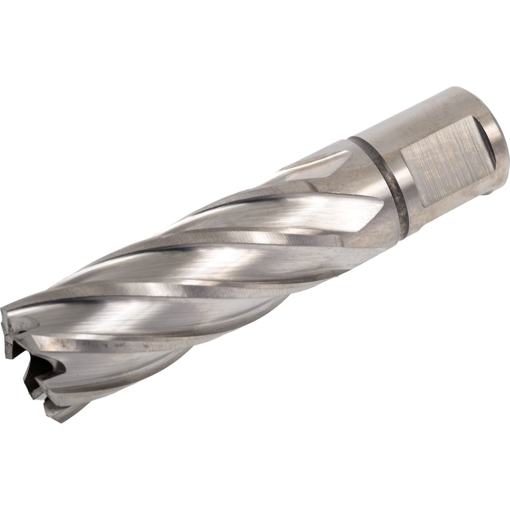 Изображение товара Сверло корончатое 20x55 мм из быстрорежущей стали Weldon 19 для металла и дерева