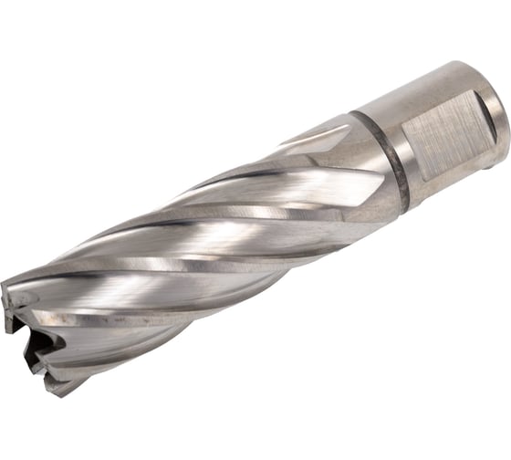 Изображение товара Сверло корончатое 20x55 мм, HSS БСВ 650-119698