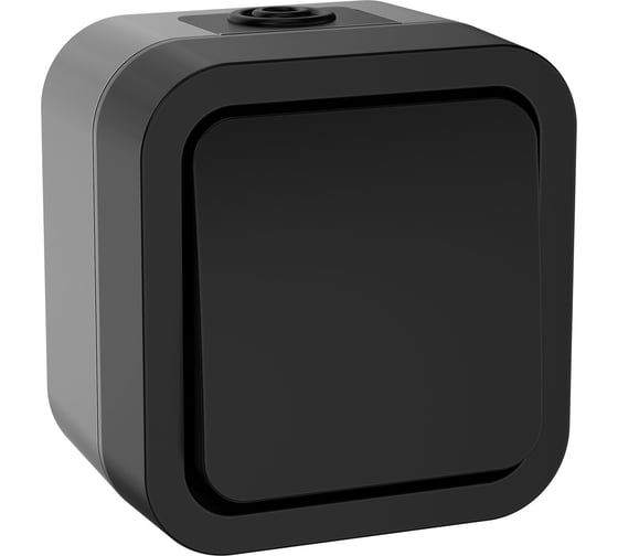 Изображение товара Переключатель одноклавишный IEK Tors 10а ip55 ts101 графит TS-V10-0-10-55-K53