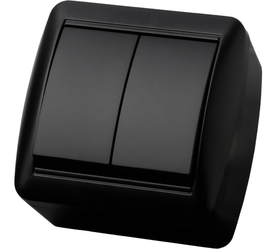 Изображение товара Выключатель 2 клавишный TDM ELECTRIC открытой установки IP44 10А графит "Селигер" SQ1818-0302