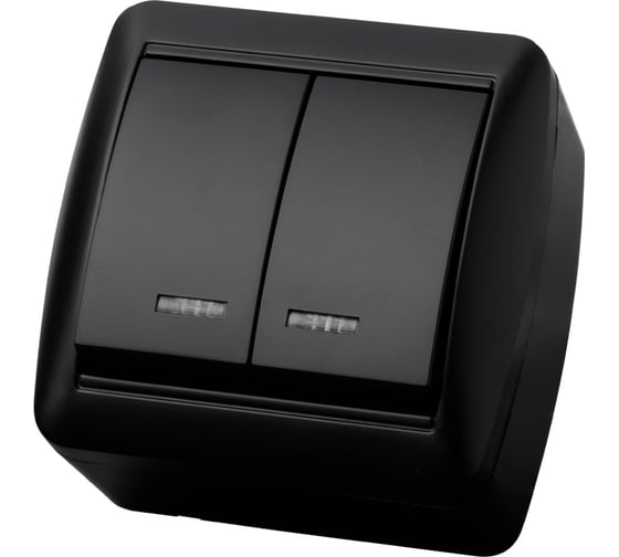 Изображение товара Выключатель 2 клавишный TDM ELECTRIC открытой установки с подсветкой IP44 10А графит "Селигер" SQ1818-0304