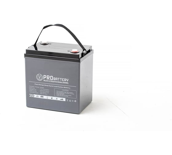 Изображение товара Аккумуляторная батарея PROBATTERY HLC6-230