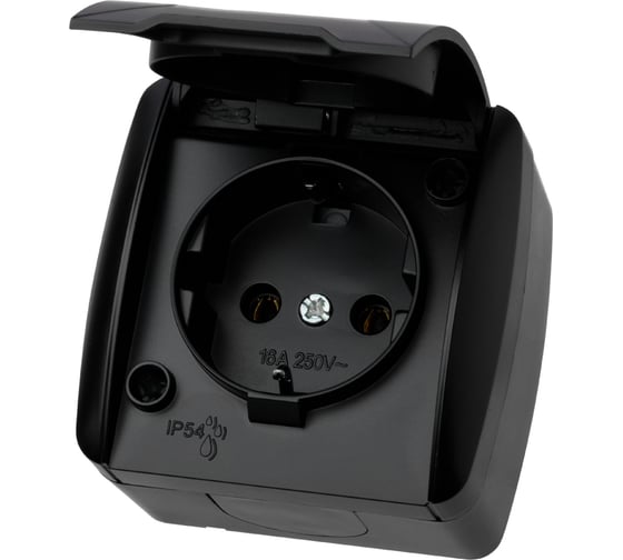 Изображение товара Розетка TDM ELECTRIC 2П+З открытой установки IP54 16А с крышкой графит "Селигер" SQ1818-0313