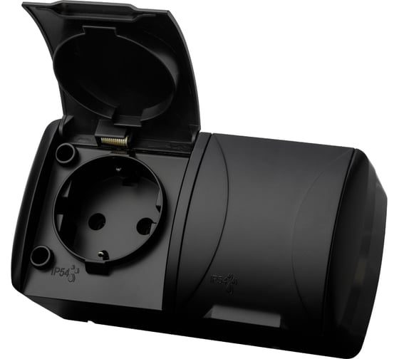 Изображение товара Розетка TDM ELECTRIC двойная 2П+3 открытой установки IP54 16А с крышкой графит "Селигер" SQ1818-0314